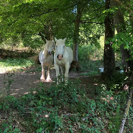 Rur-partie Im Haus An Der Rur Monschau