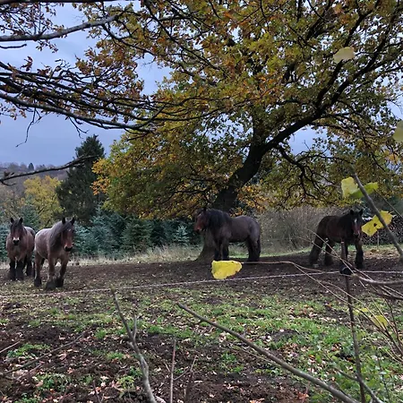 Rur-partie Im Haus An Der Rur * Monschau