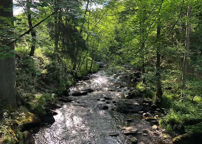 Apartamento Rur-partie Im Haus An Der Rur *
