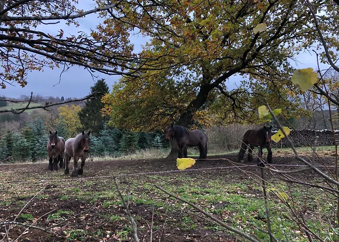 Rur-partie Im Haus An Der Rur * Monschau